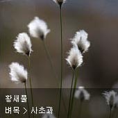 꽃이름 찾기