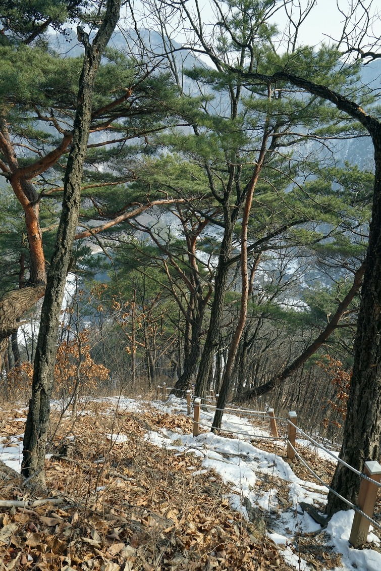 동강 어라연의 맑은 물에 한해 동안 찌든 때를 말끔히 씻어내세요 !