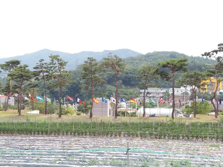 평화랜드 이미지