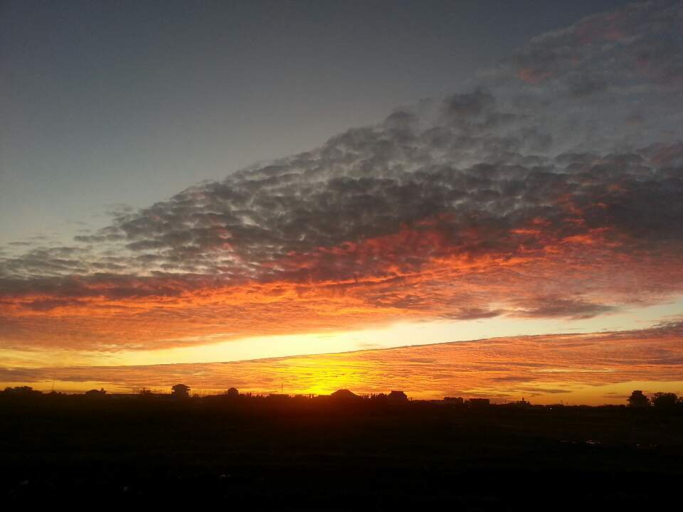 지난 일은 그립고 아름다우니