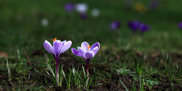암을 잡아 먹는 음식