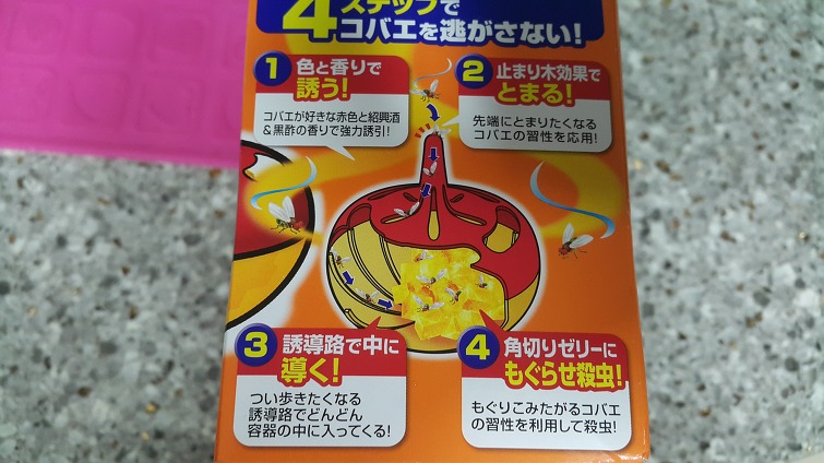 2645D74959625E591ED875