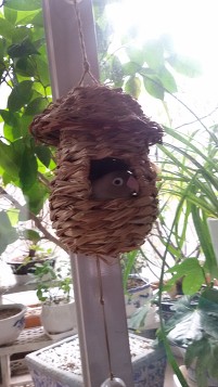 블루몽 이미지