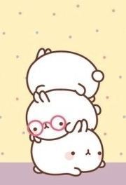 귀여운 캐릭터 사진(몰랑이 편)