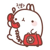 몰랑이사진 2부 