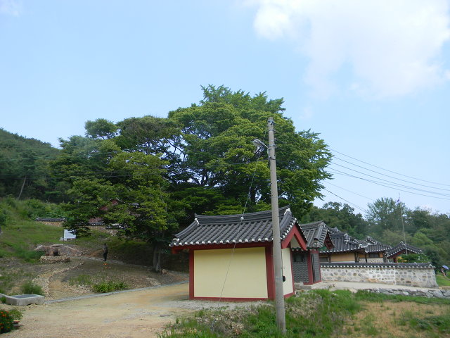 교동숲 이미지