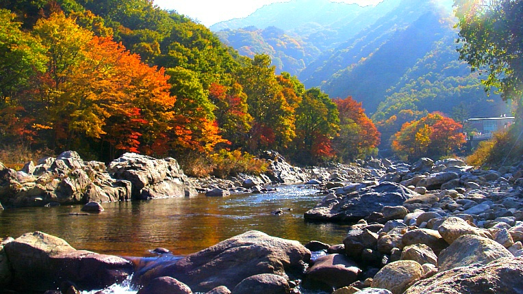 266DD44E526DC69928C856