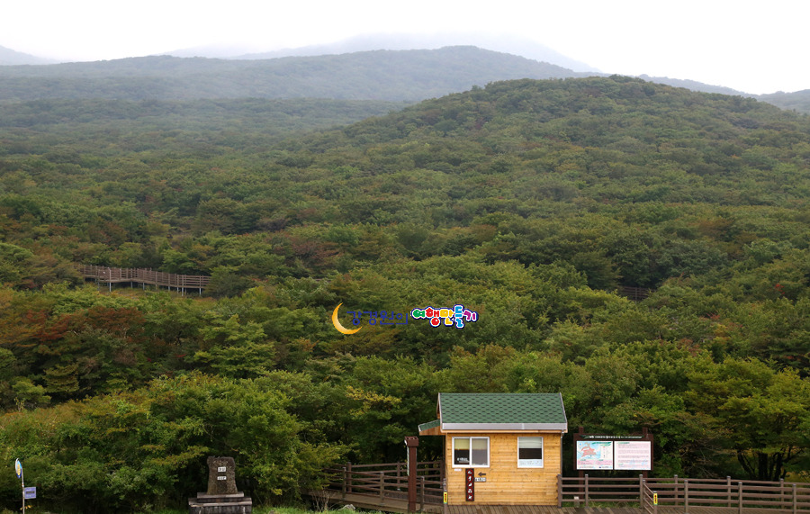 습지보호지역 이미지