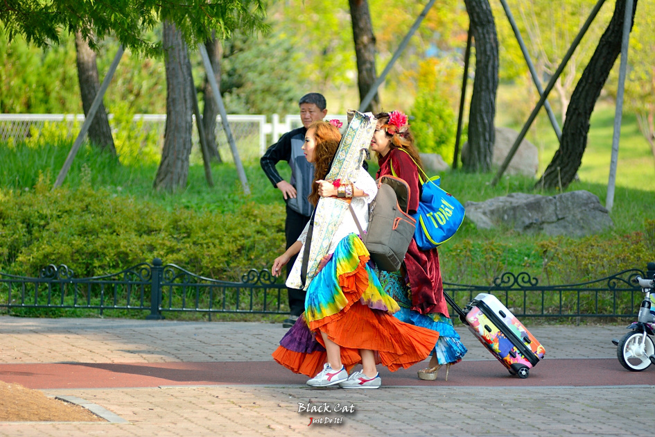 하나를위해(Pattern 110)-대전한밭수목원