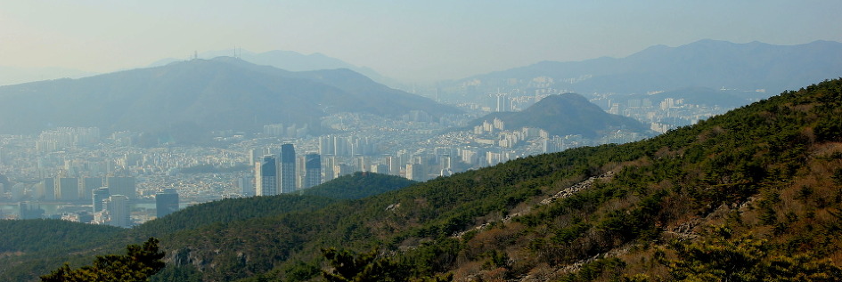 장산 이미지