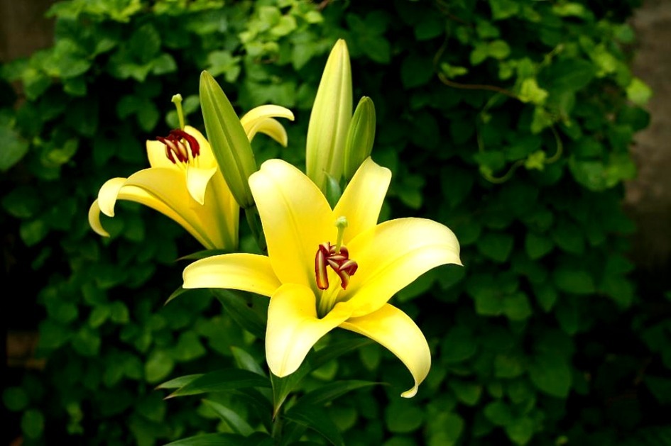 노래교실 어르신들과....