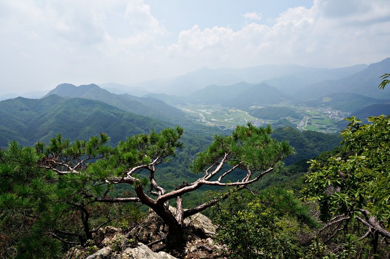 성치산 이미지