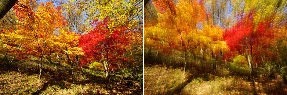 순창 강천산의 일출과 단풍