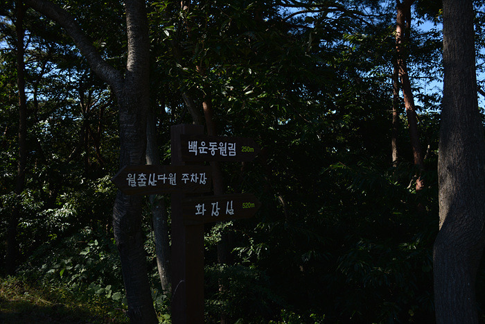 원본이미지(클릭)
