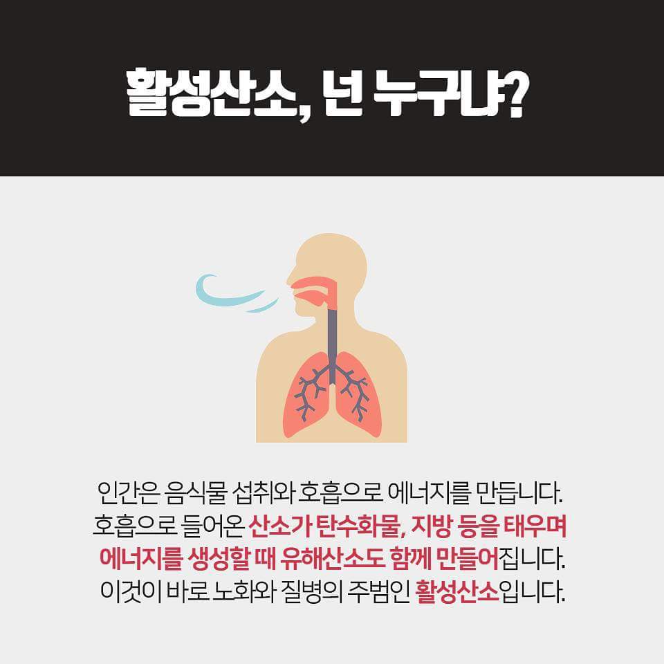 활성산소 너 누구니?