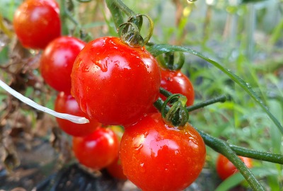 달팽이크림 화장품 인기 군대 PX에서...