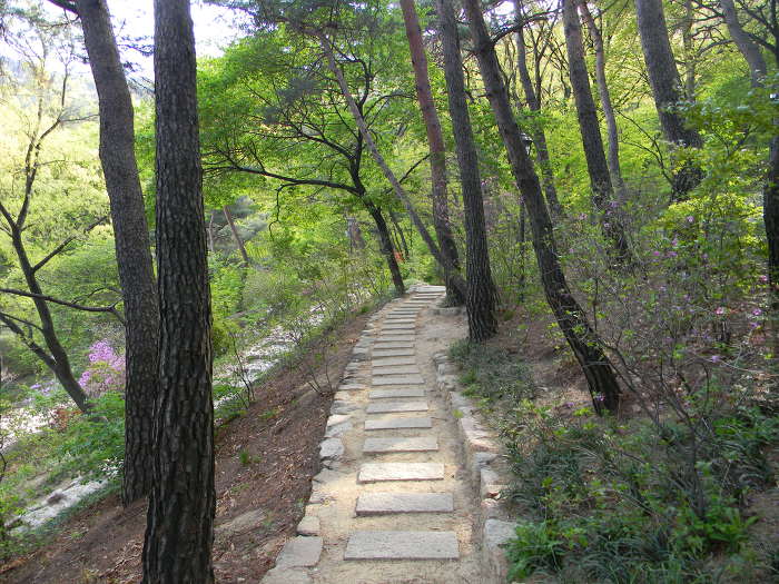 부암동 석파정 마무리 (별채, 북쪽 산책로, 소나무, 석파정, 경계벽 벽화)