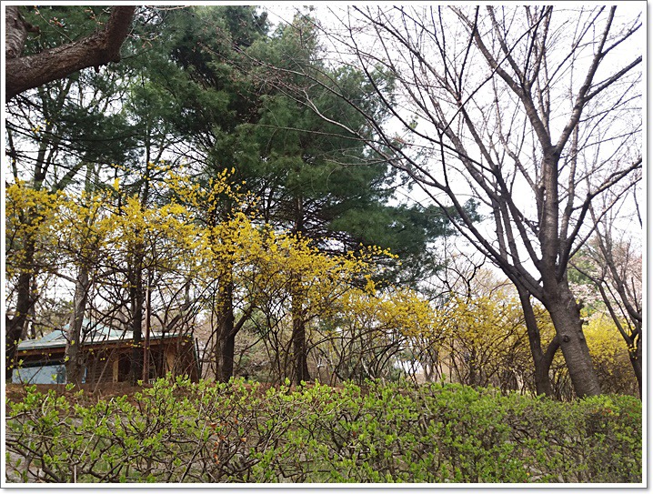우리동네도 꽃동산