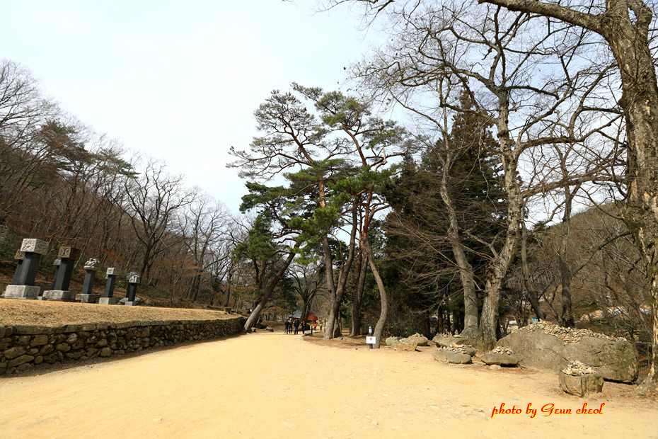 봄철 환경켐페인..2019.03.08