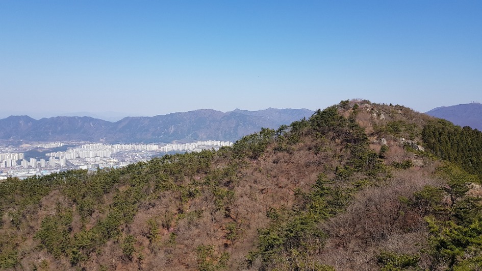 불모산과 장복산 꽃길만 걸었다