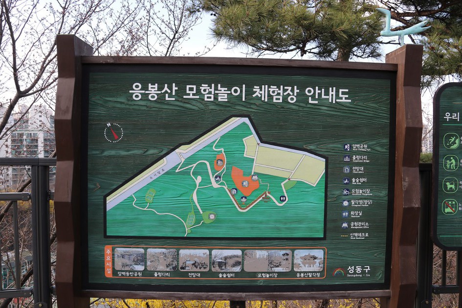 '2019 응봉산 개나리축제의 풍경'을 가득 담았습니다.   4/5    (20190331) 