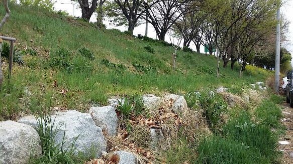 하늘이 뭉게저도 뚤불 구믱잉 인는지 자양구 댕기믱 호박씨나 숭구고.