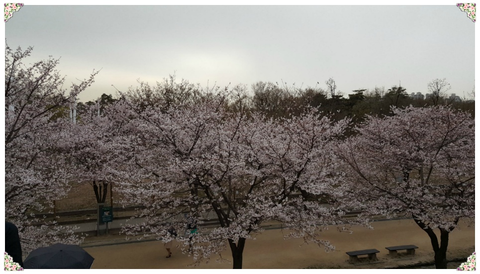 봄 나들이 다녀오다..[응봉산과 서울숲]