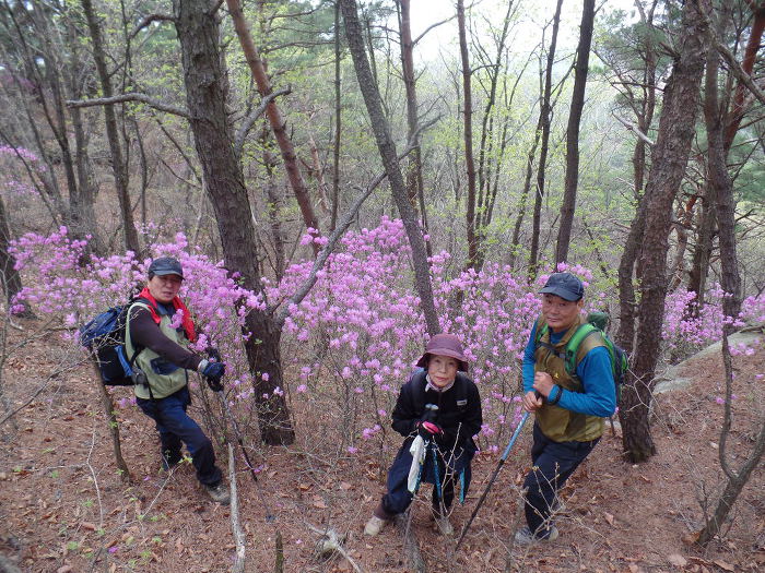 1045- 慶州 南山 고위봉(高位峯:494m)을 다녀왔어요.
