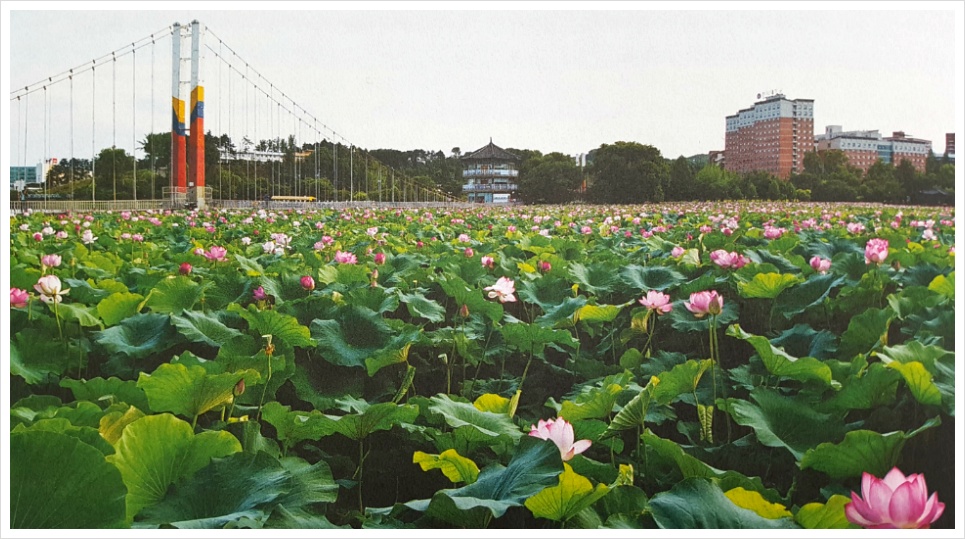 덕진공원, 전주의 공원 1호