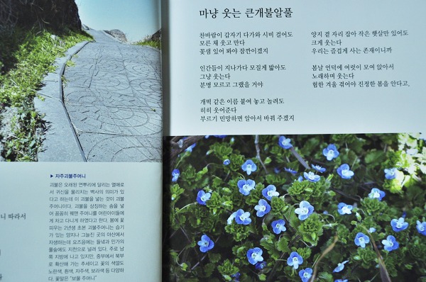 꽃노래(유유시집5)
