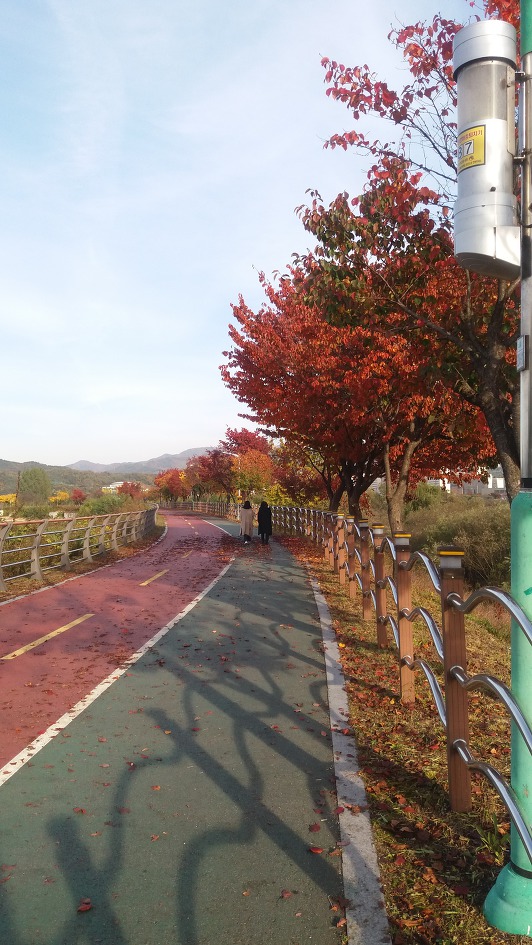 가을 풍경