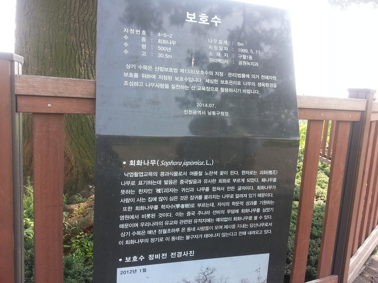 나무아낙 이미지