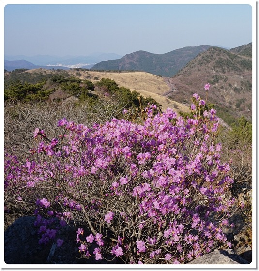 부산 구봉산~엄광산~구덕산~승학산 등산코스