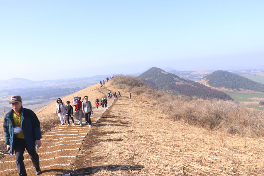 한국마스터가드너 제주 김학우정원과 새별오름 투어...2019년 2월 23일