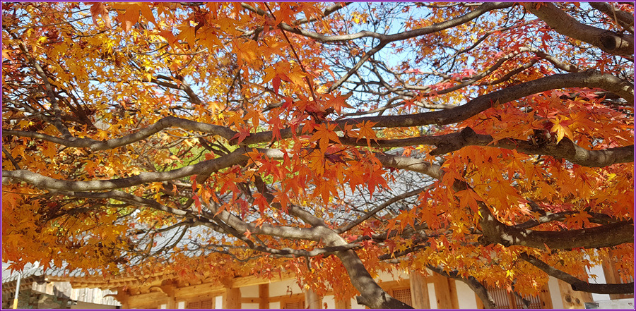 가버린 가을,장안사의 풍경