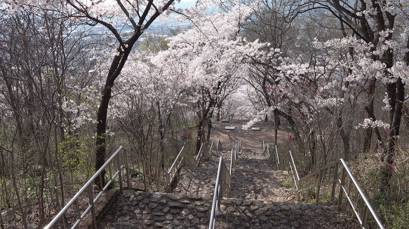 침산공원 이미지