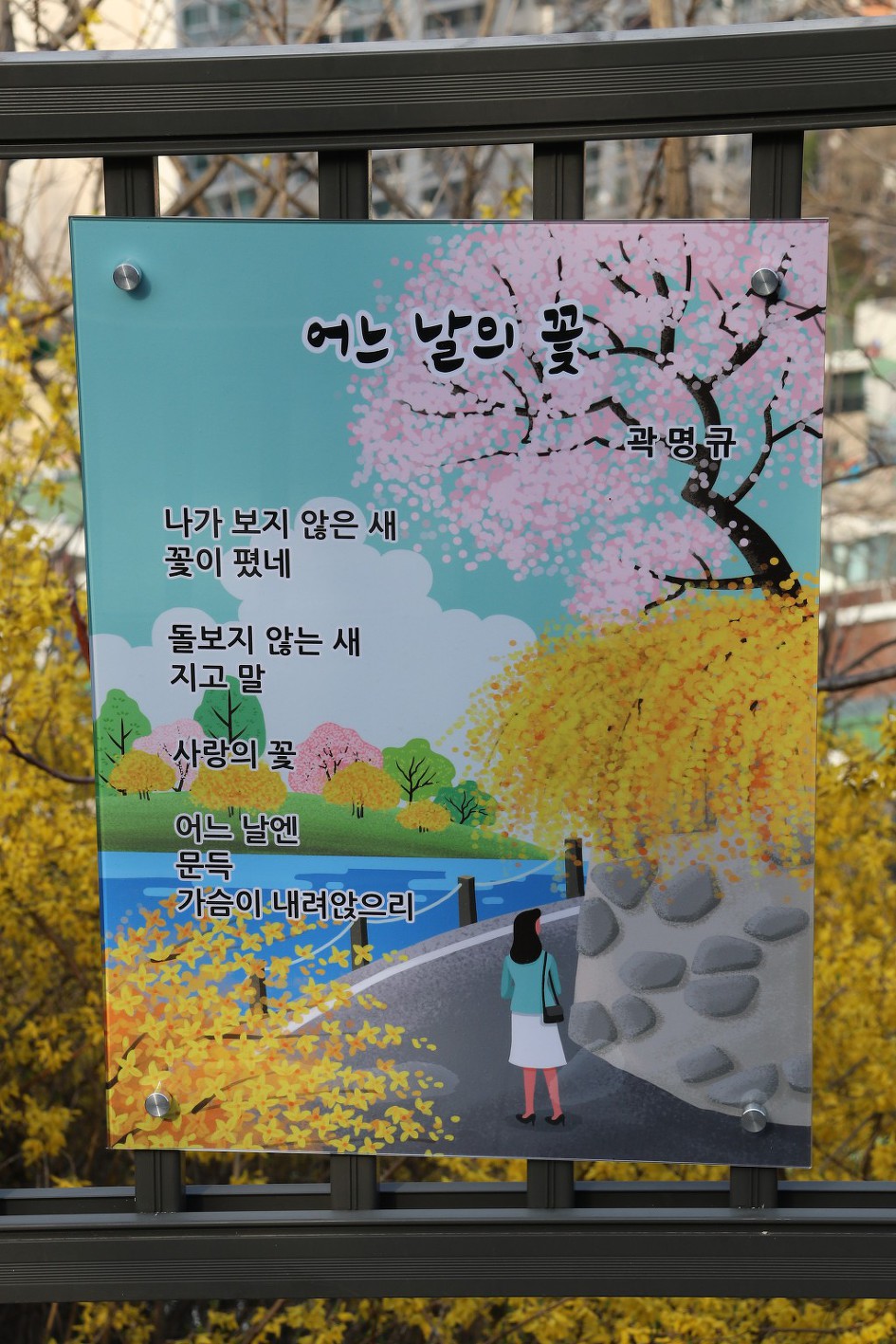 '2019 응봉산 개나리축제의 풍경'을 가득 담았습니다.   4/5    (20190331) 