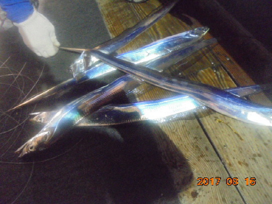 994D28335994FF1D1B5641