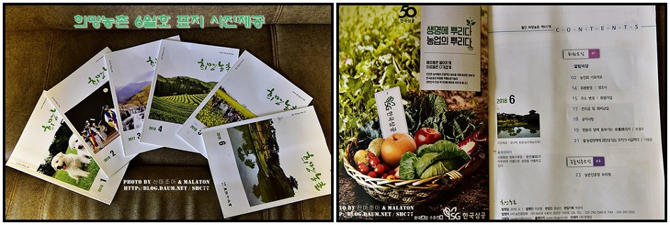 농진중앙회 희망농촌 2019년 3월호 표지 사진제공