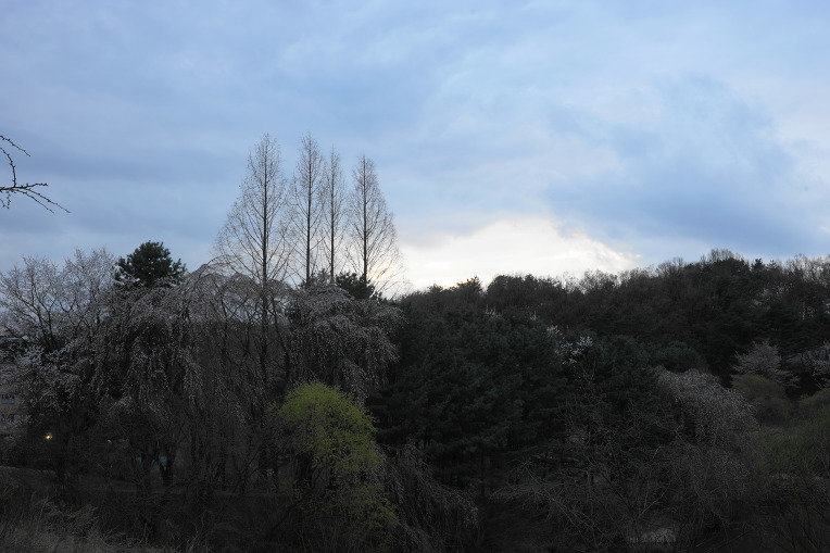 비룡지. 구(舊)경찰대학교. 용인시(龍仁市)