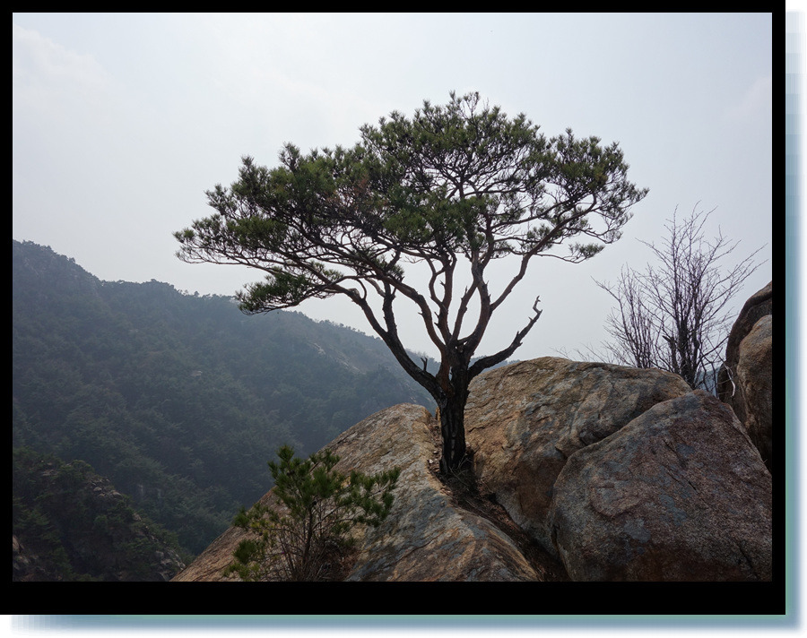 창녕 영취산