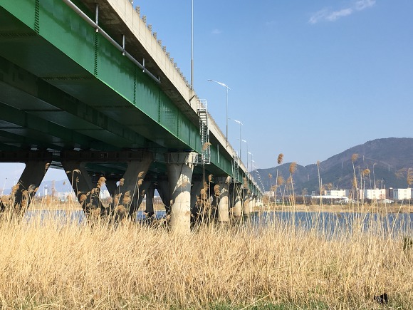 낙동강 자전거길 "대저생태공원"