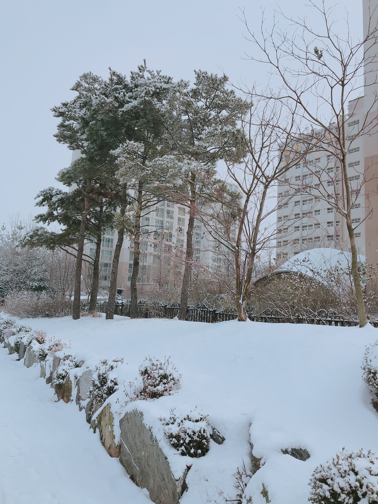 아름다운 겨울 풍경~!!