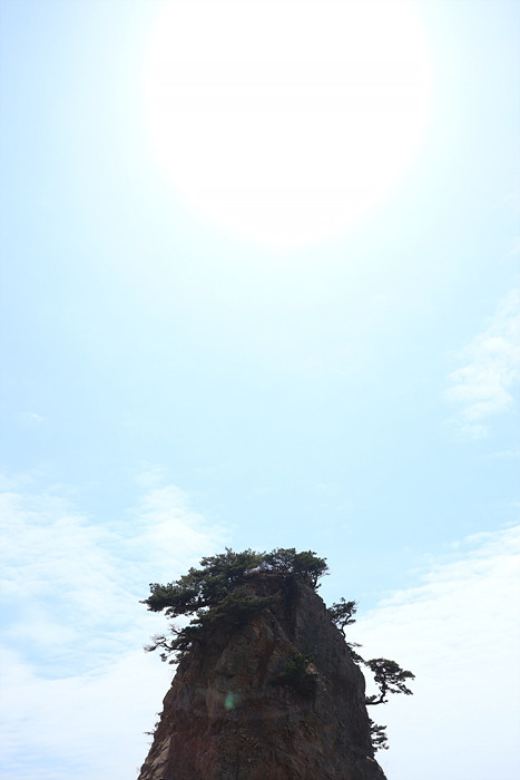 원본이미지(클릭)