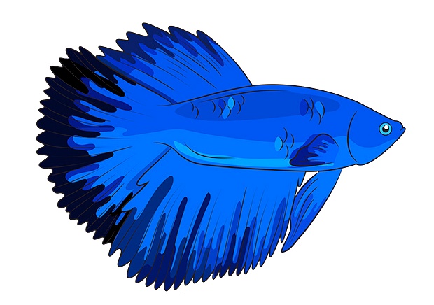 여름성경학교 게임/활동자료 - 낚시놀이 게임