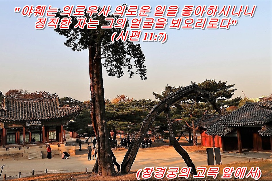 <시편 11장 7절 말씀>