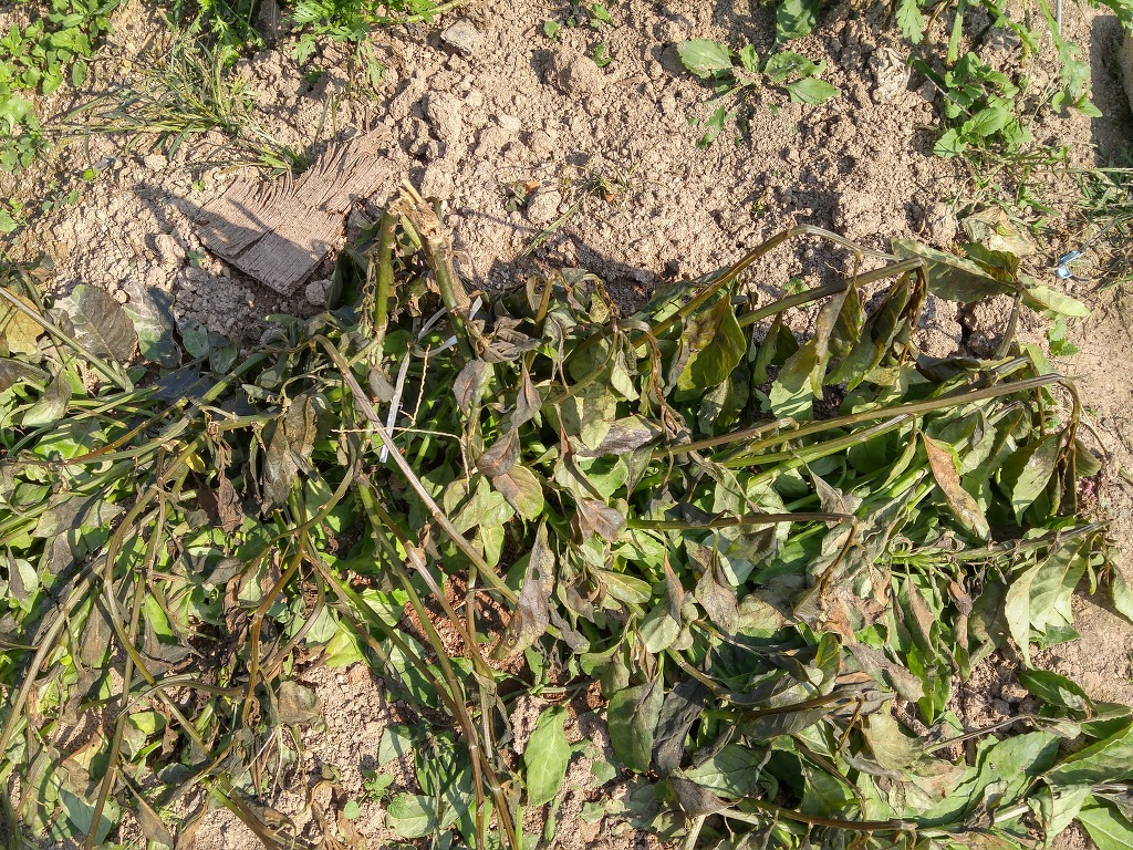 서리의 능력
