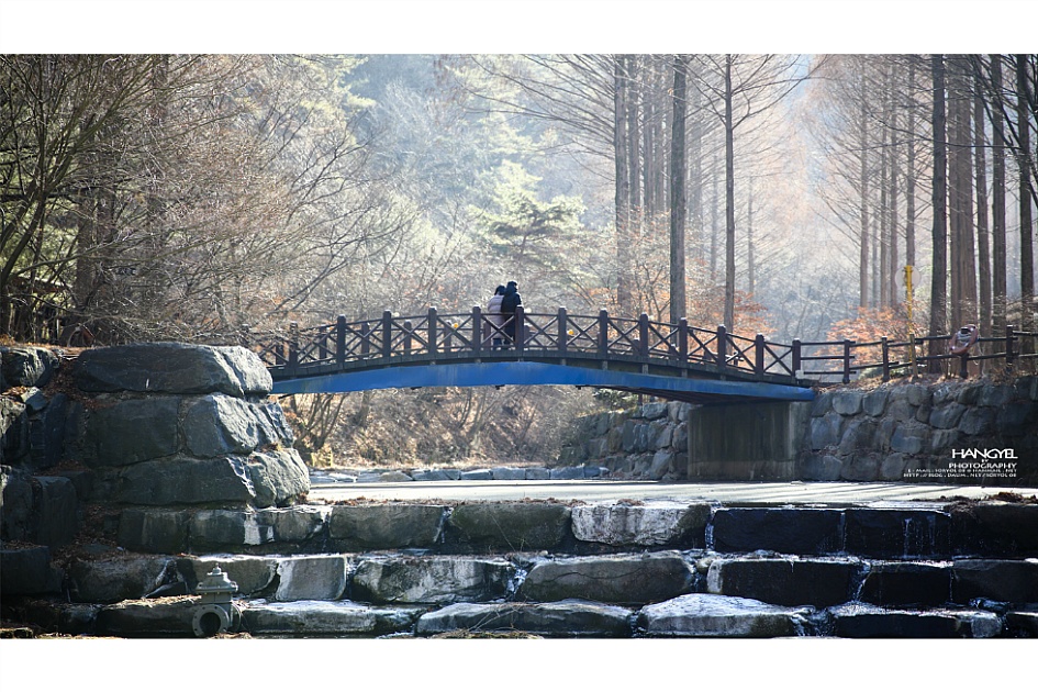 겨울 산책