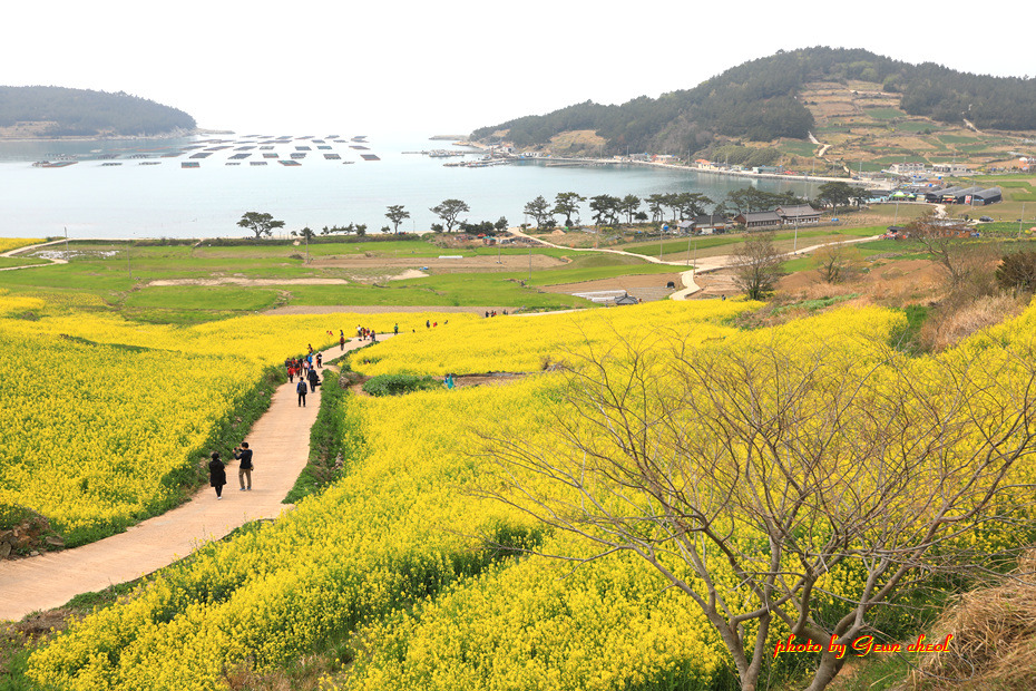 느림의 쉼표..청산도..2019.04.07 