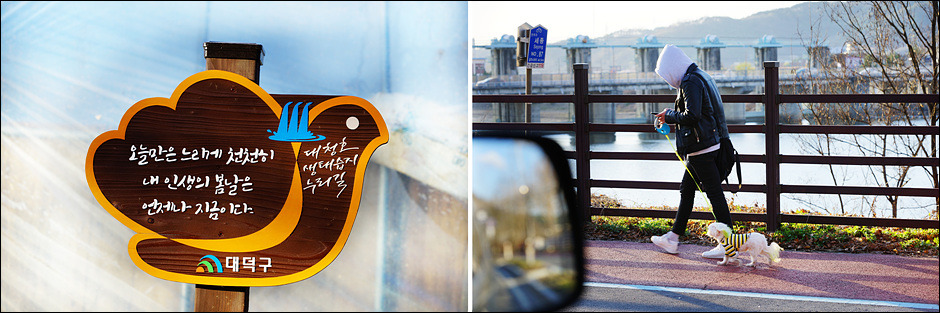 대전 벚꽃명소 중 드라이브 코스 대청호